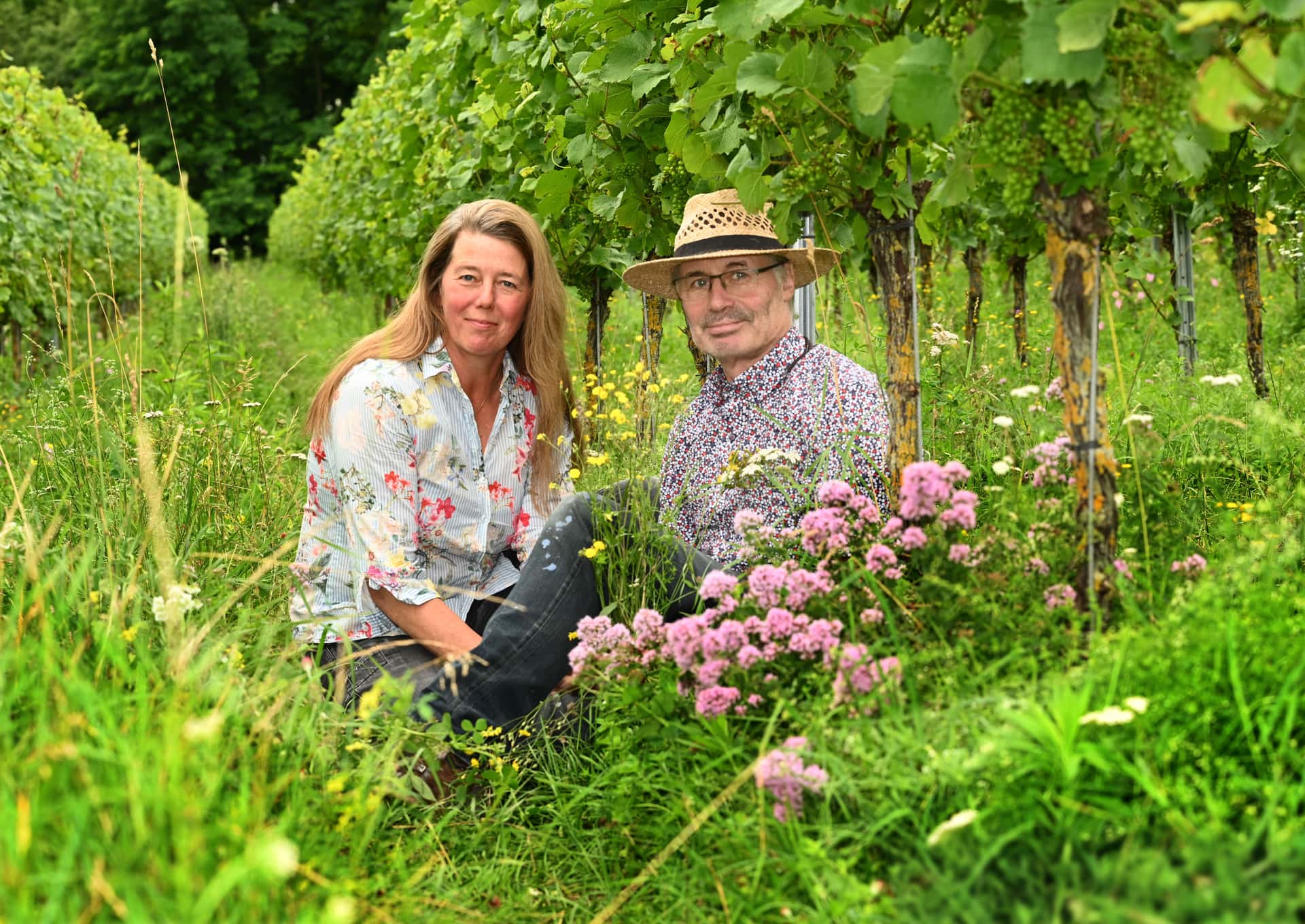 Degustação de vinhos, orgânicos e biodinâmicos