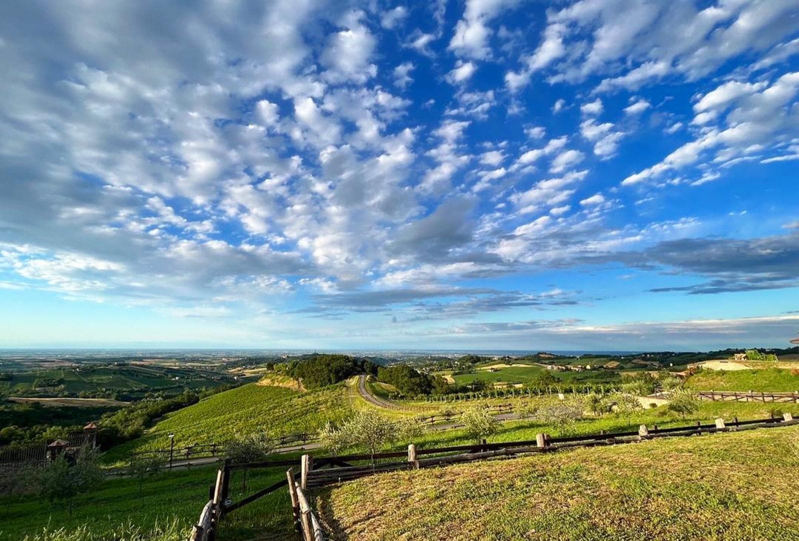 Cantina Il Poggio