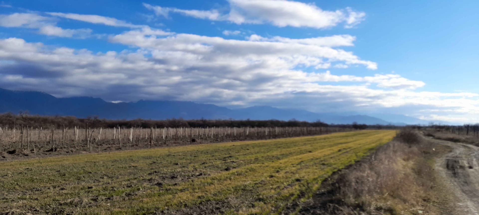 Akhmeta Wine House