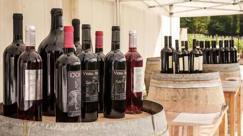 Dégustation de vins traditionnels chez BECONCINI WINES