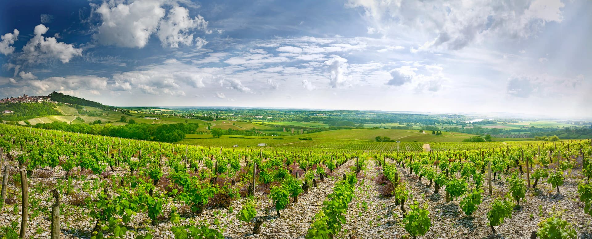 Domaine Gitton