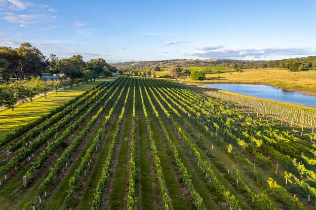 Stockman's Ridge Wines