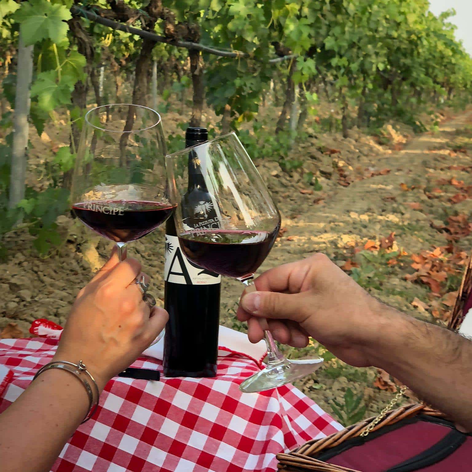 Cata y recorrido de vinos finos