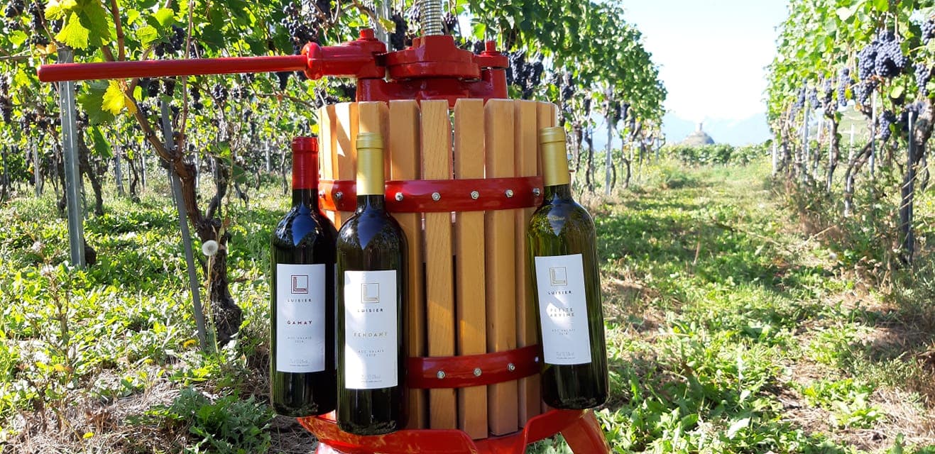 Dégustation gourmande chez Luisier Vin