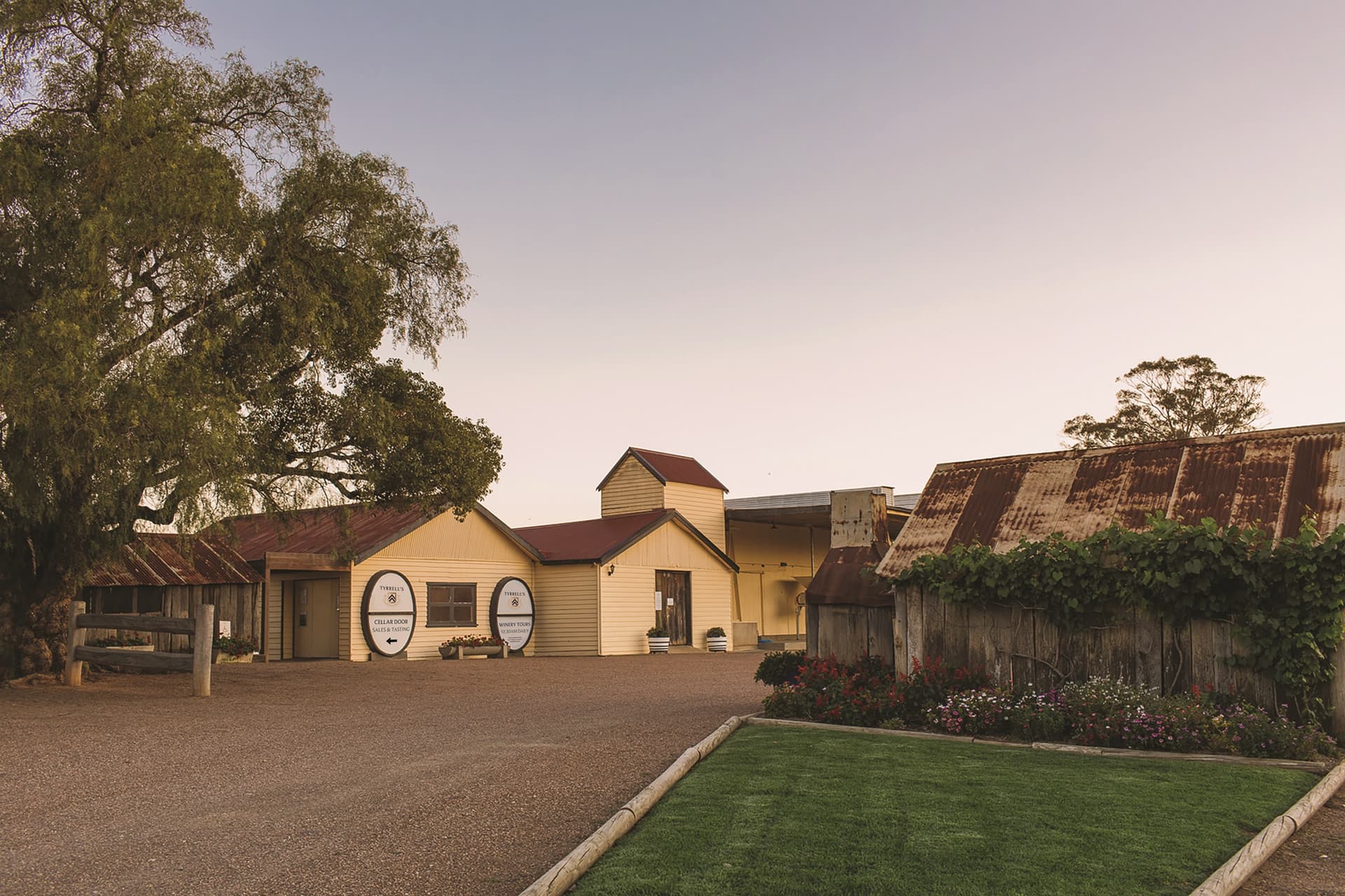 Tyrrell's Winery foto 2