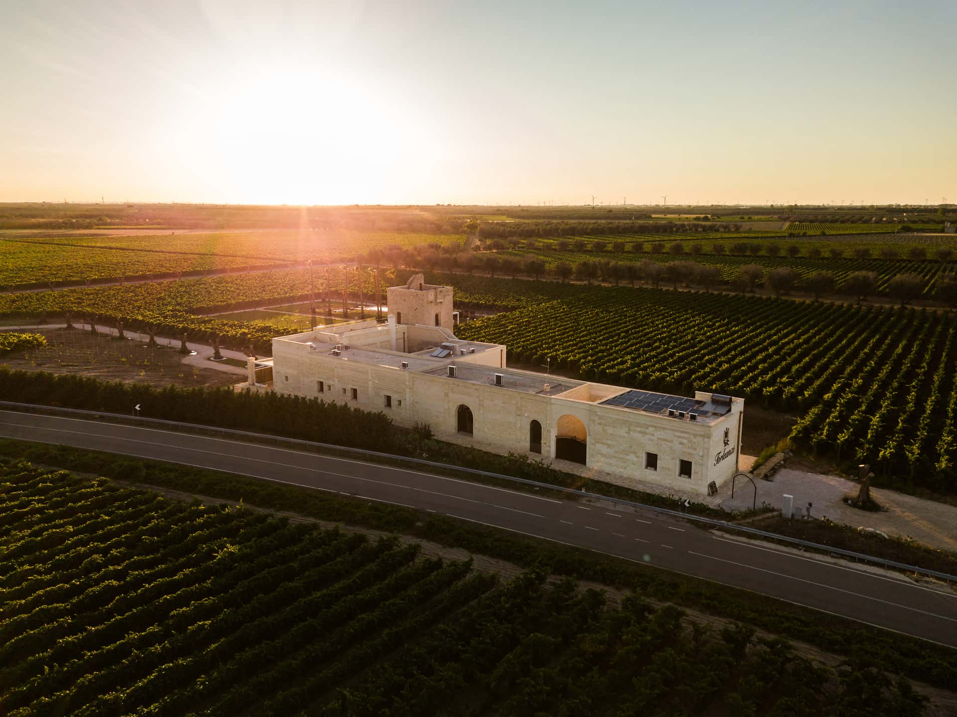 Sommelier Wine Experience presso la Cantina Torleanzi
