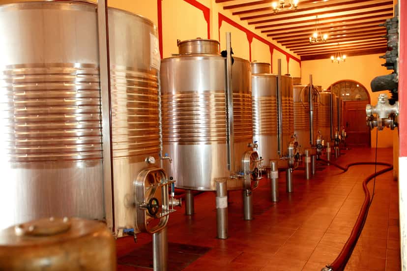 Fuga del vino Castano alle Bodegas Castaño
