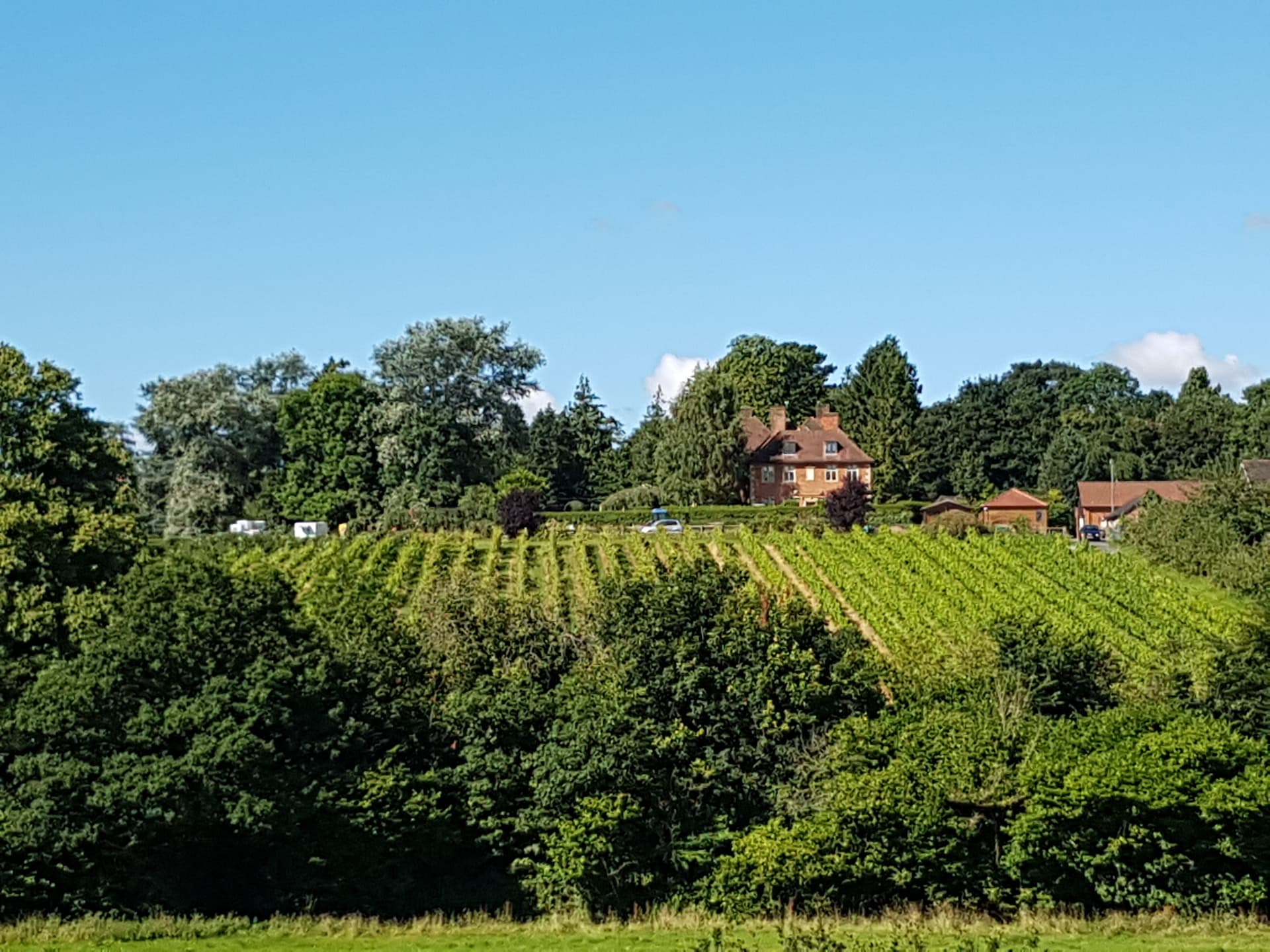 Visite personnelle et dégustation de vins pour deux