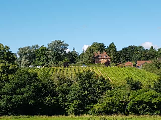 A'Beckett's Vineyard