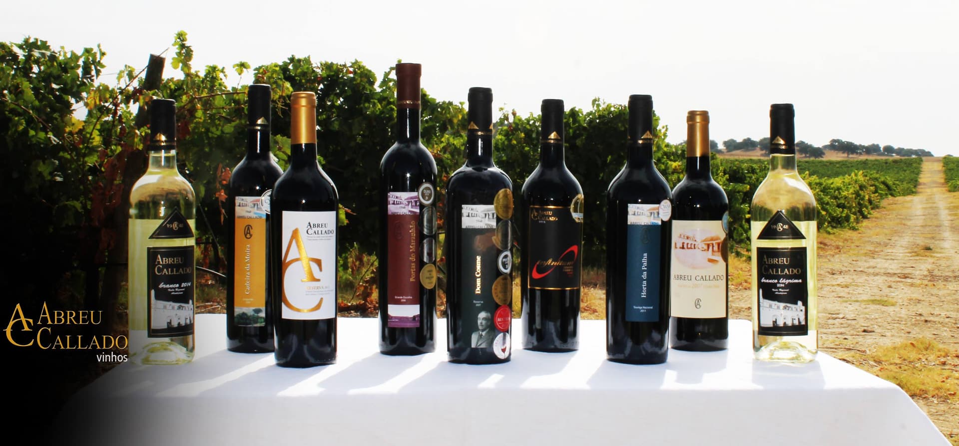 Alentejo Flavors: Lunch, Wine & Heritage Tour