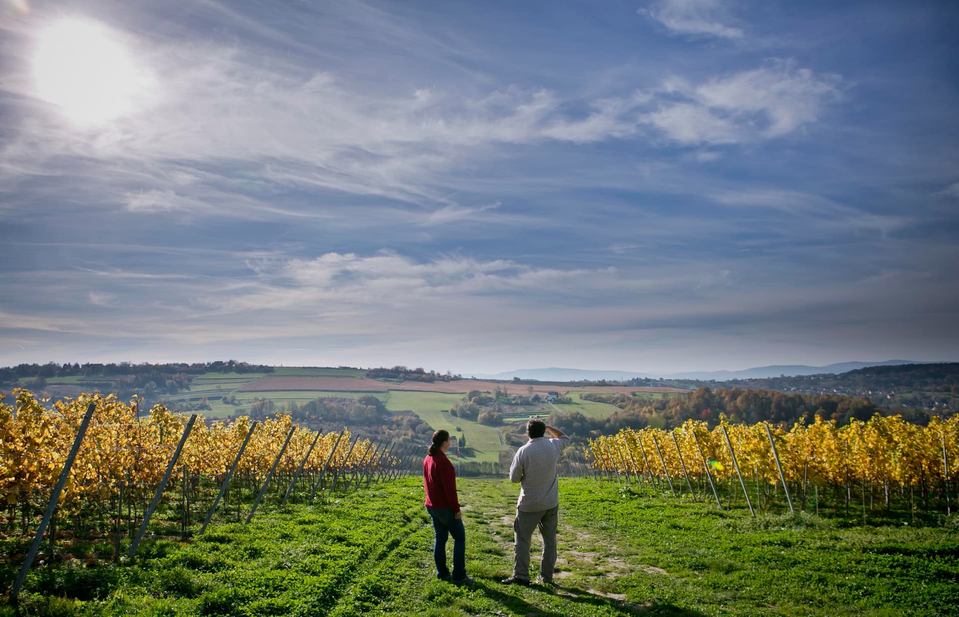 Winnica Wieliczka - A Unique Vineyard Experience photo 2