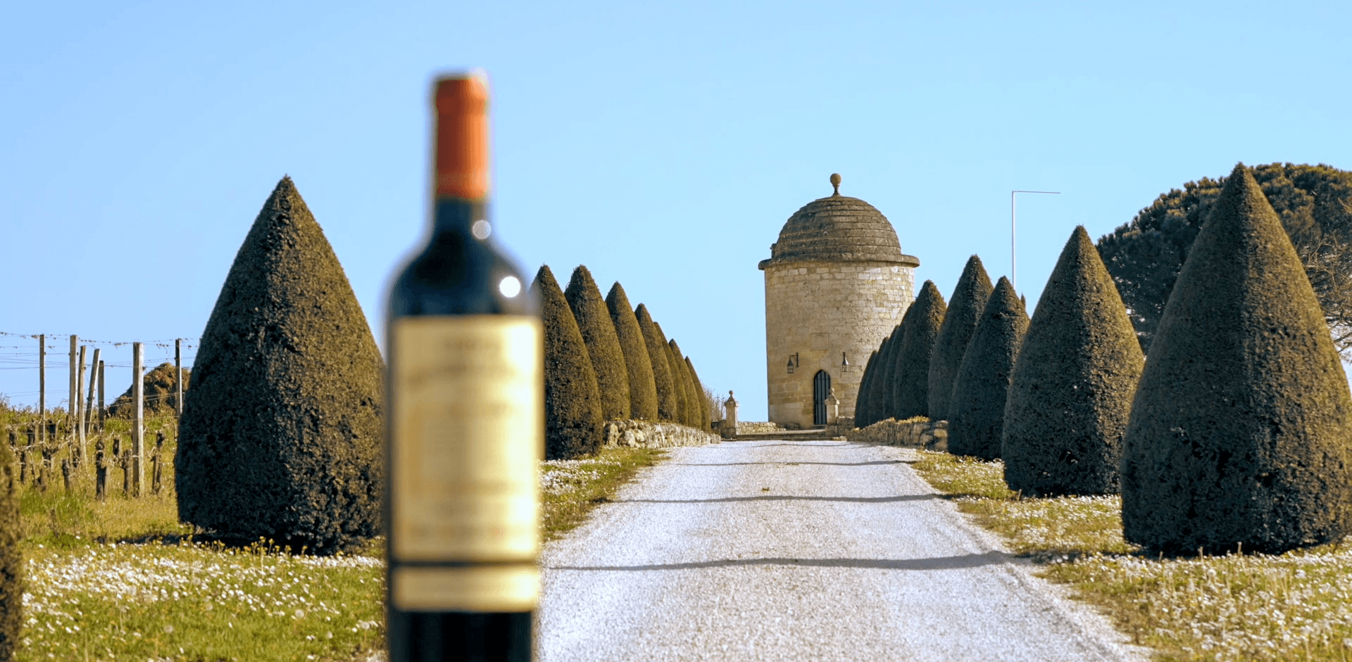 Château Balestard La Tonnelle foto 3