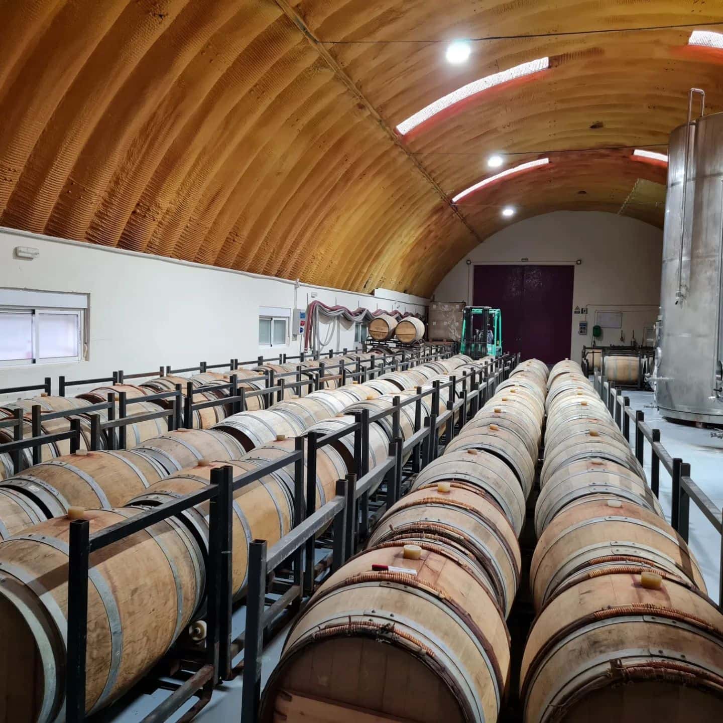 Cata y Visita de Vinos en Bodegas Bigardo