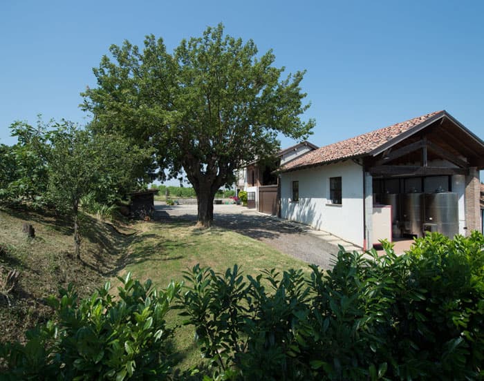 Dégustation de vins et visite à La Costanza
