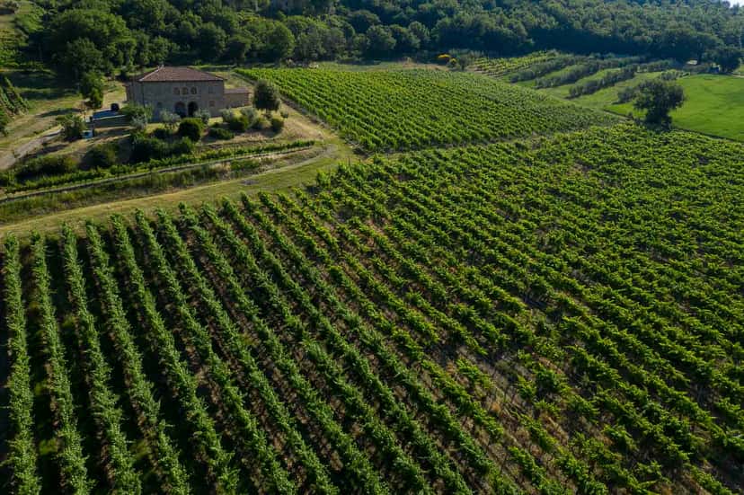 Murogrosso Winery