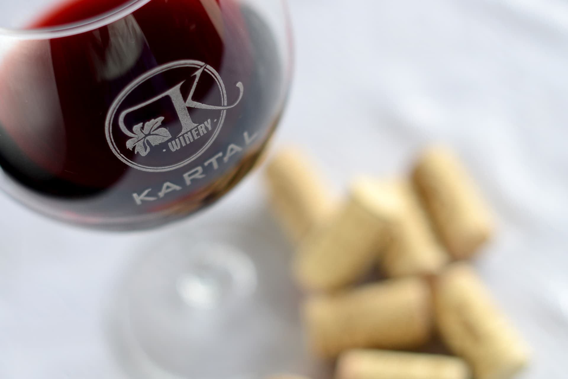 Tour de degustação de vinhos na vinícola Kartal