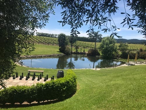 Dégustation de vins à Westbrook Winery en Nouvelle-Zélande