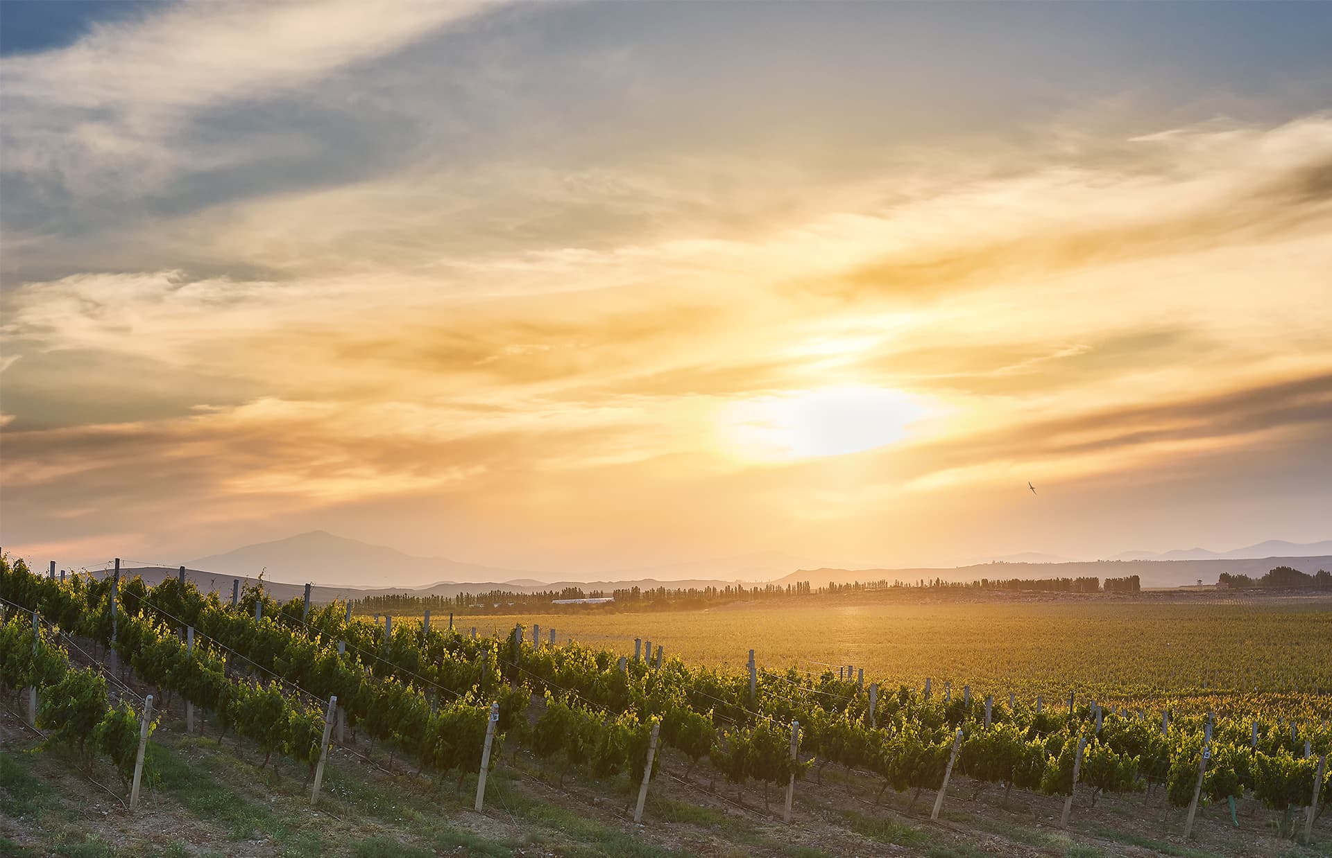 Esperienza nel terroir Karas