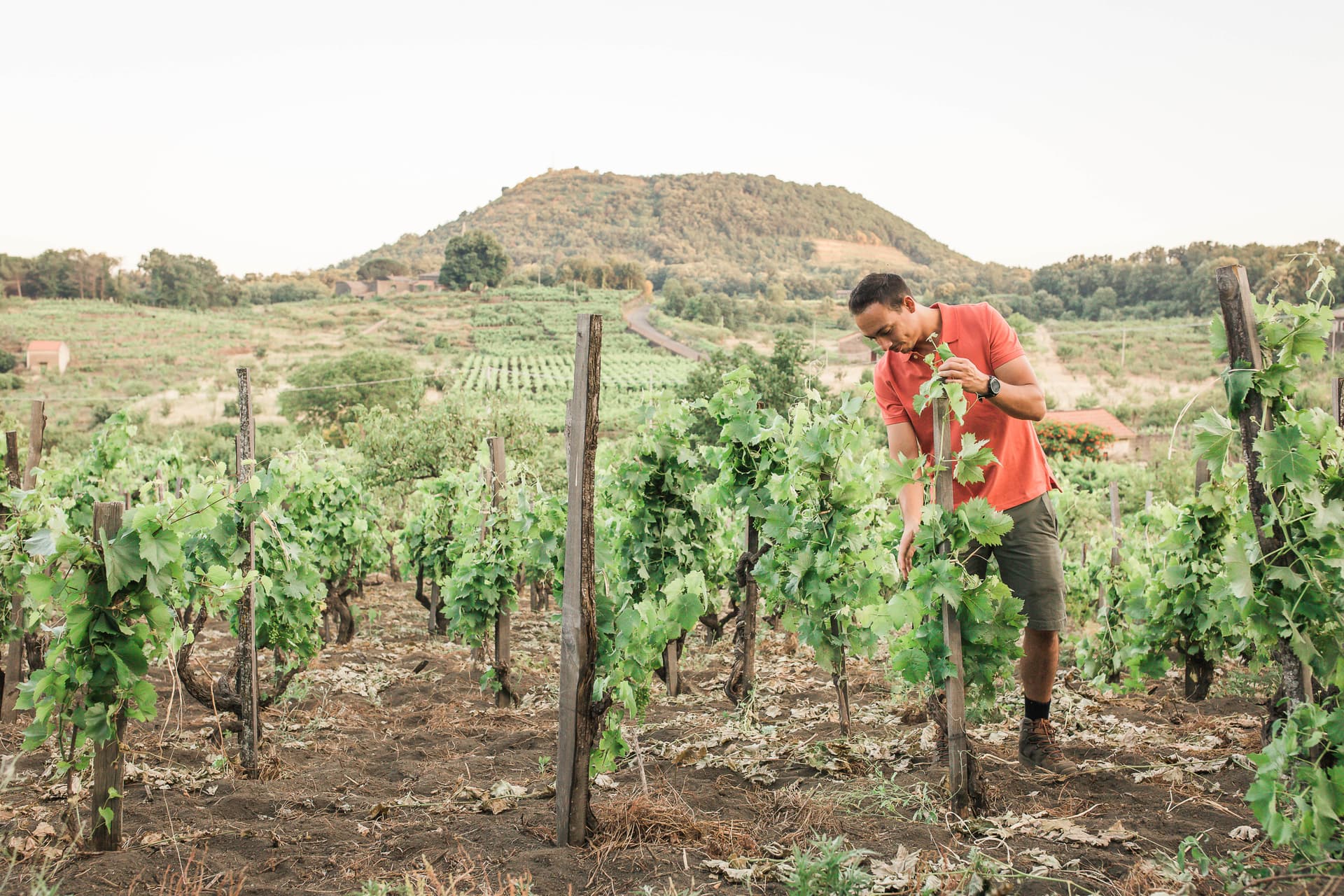 Barone Beneventano - Etna Winery foto 2