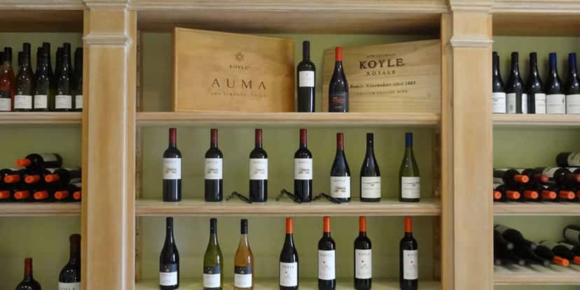 Central Valley Vineyard Walk & Wine Tasting