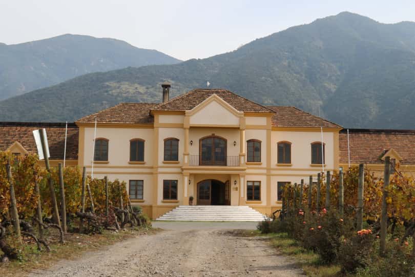 Central Valley Vineyard Walk & Wine Tasting