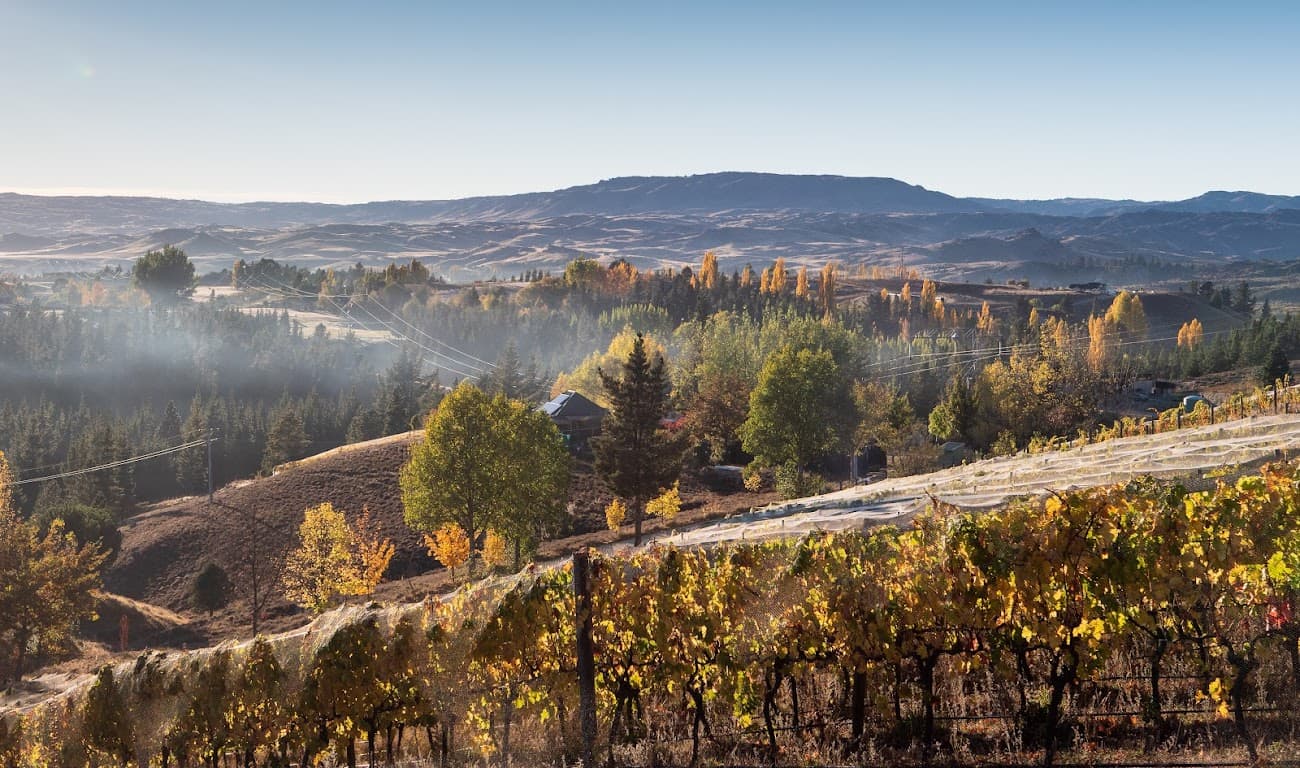 Thyme Hill Vineyard foto 1