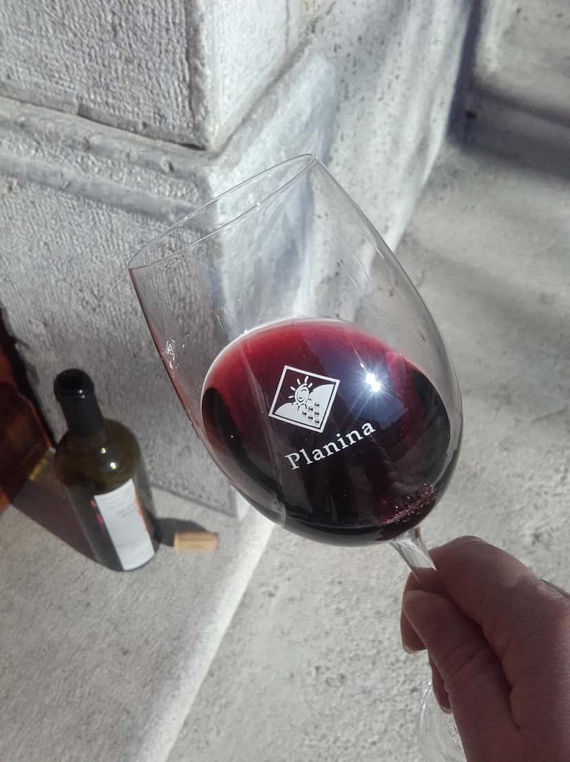Dégustation de vins à Kletarstvo Petrič