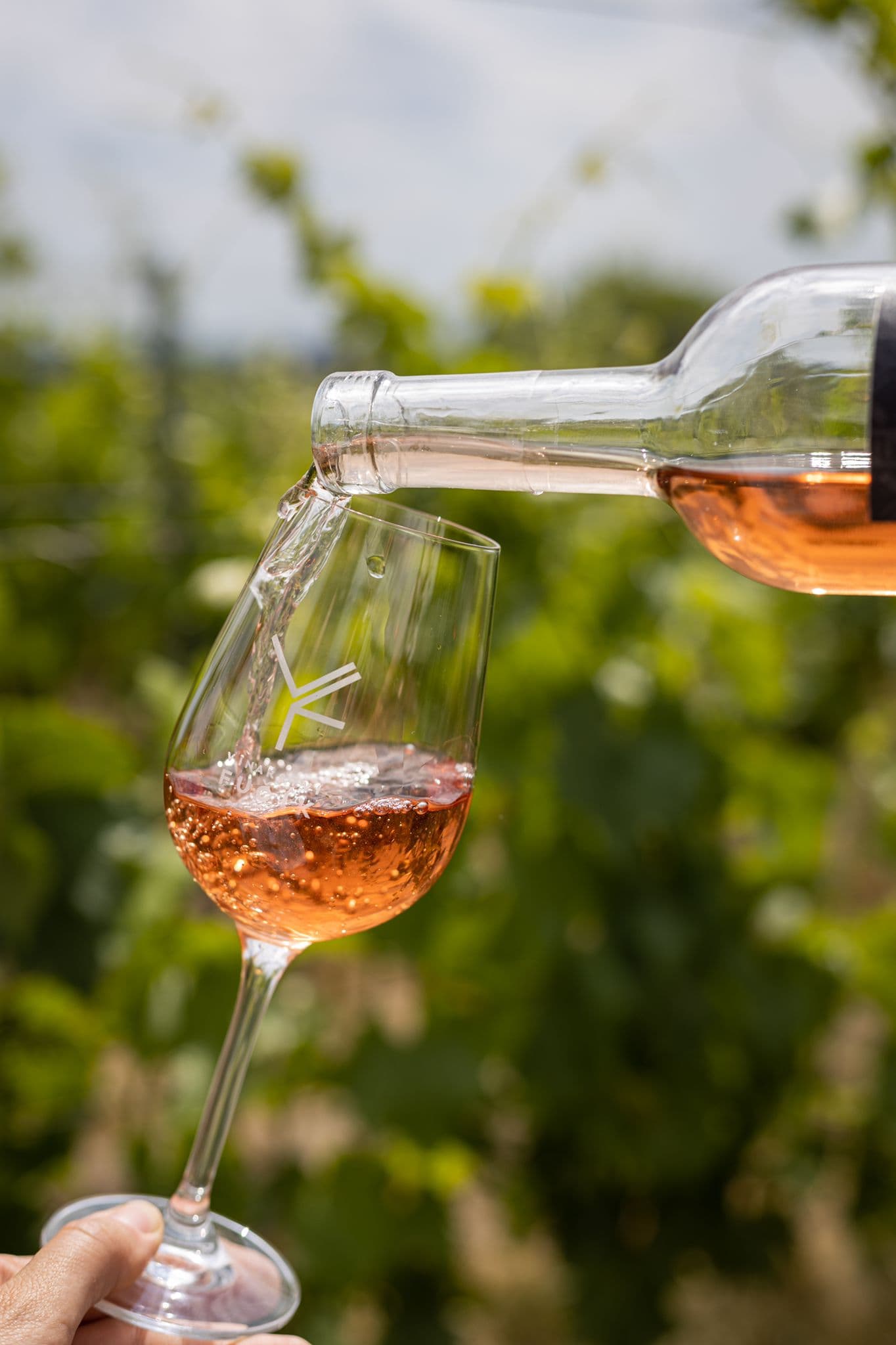 Vinarstvi Fučík Winery Foto 2