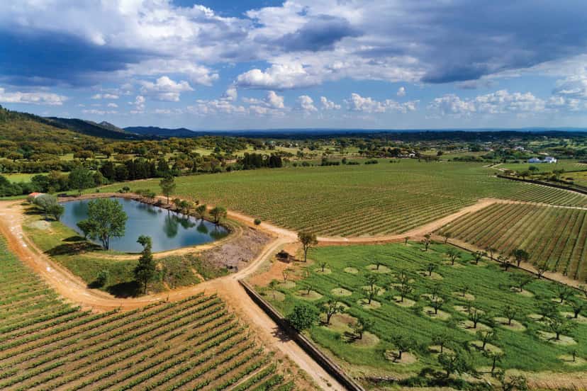 Quinta Da Fonte Souto
