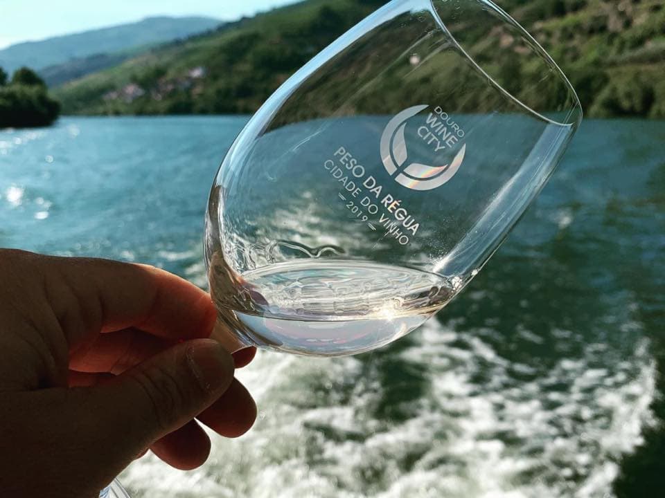 Premium Douro Wines & Vineyard Views at Quinta de Cottas