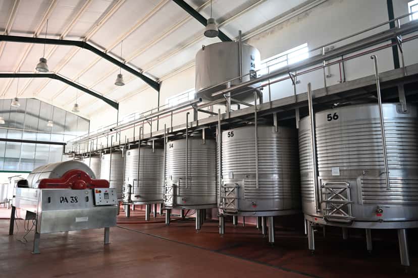 Dégustation de vins Santos et Seixo à Encosta do Sobral - Sociedade Agrícola SA