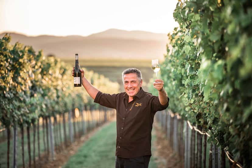 Lower Austria Vineyard & Cellar Wine Journey