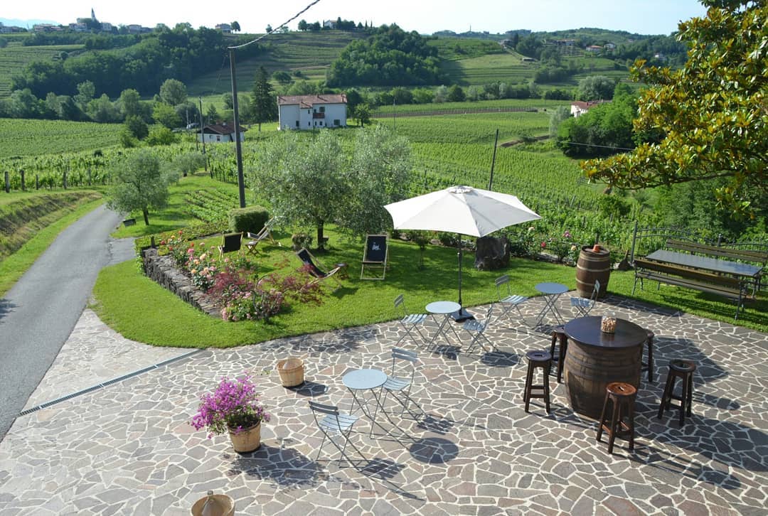 Zalatel Winery foto 4