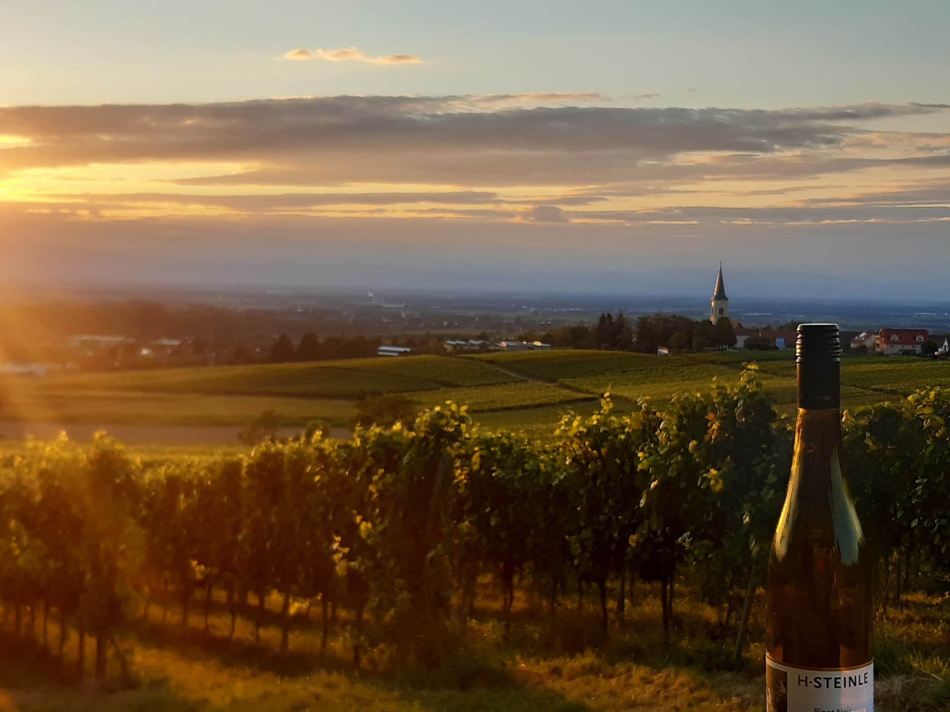 Weingut H.Steinle