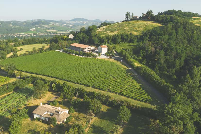 Browse all wine tastings in Colli di Parma