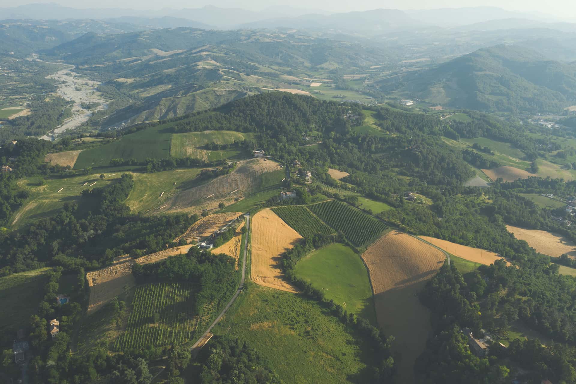 Emilia-Romagna Vineyard Stroll & Wine Tasting