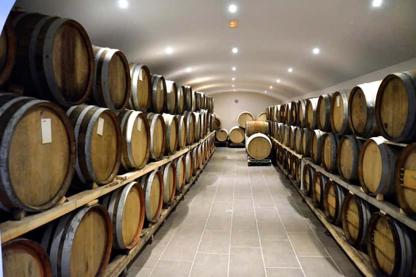 Scopri il Vino! Degustazione di vini e tour dei vigneti di Santorini