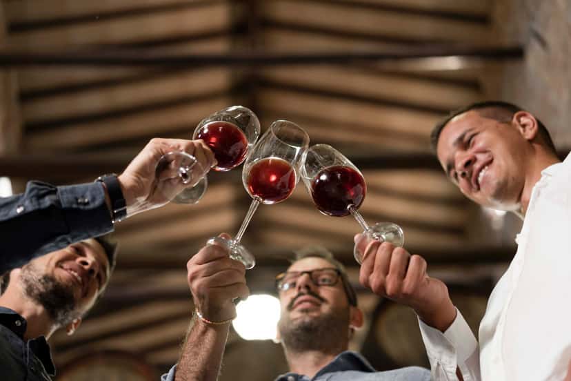 Friuli-Venezia Giulia Wine & Gourmet Journey
