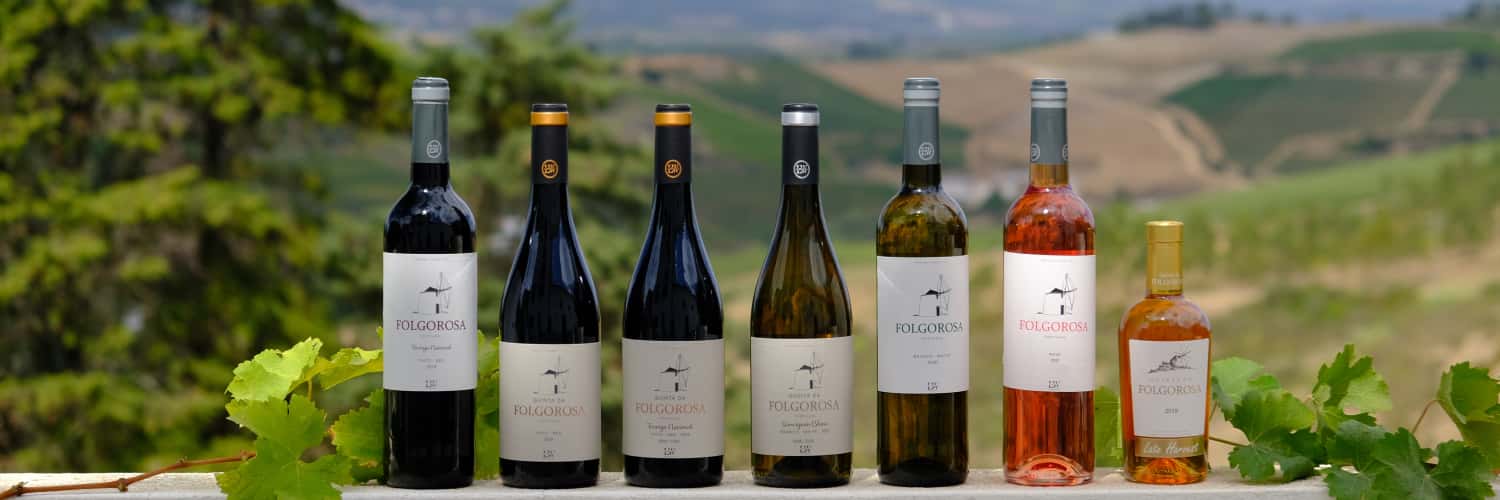 Sensation de l'Atlantique : Profitez d'une visite de vignoble…