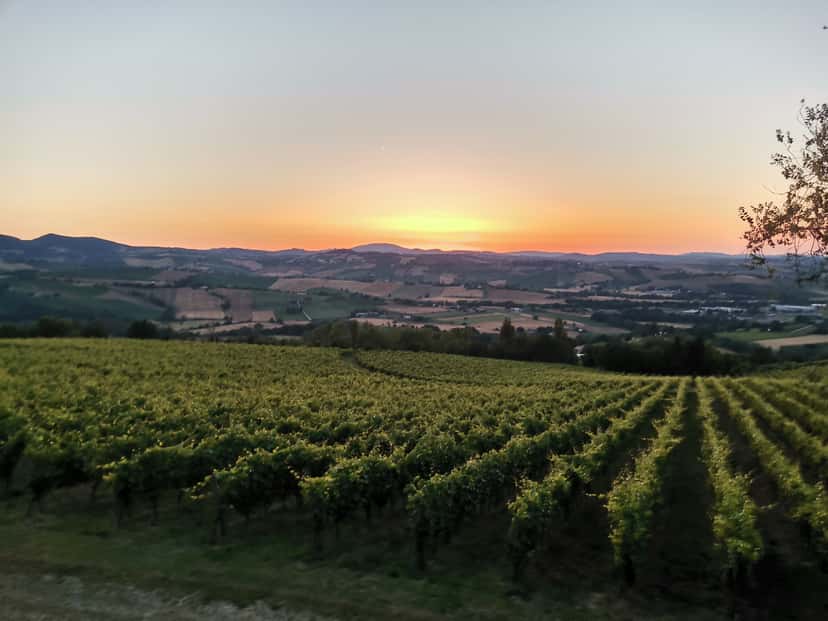 Casalfarneto Winery