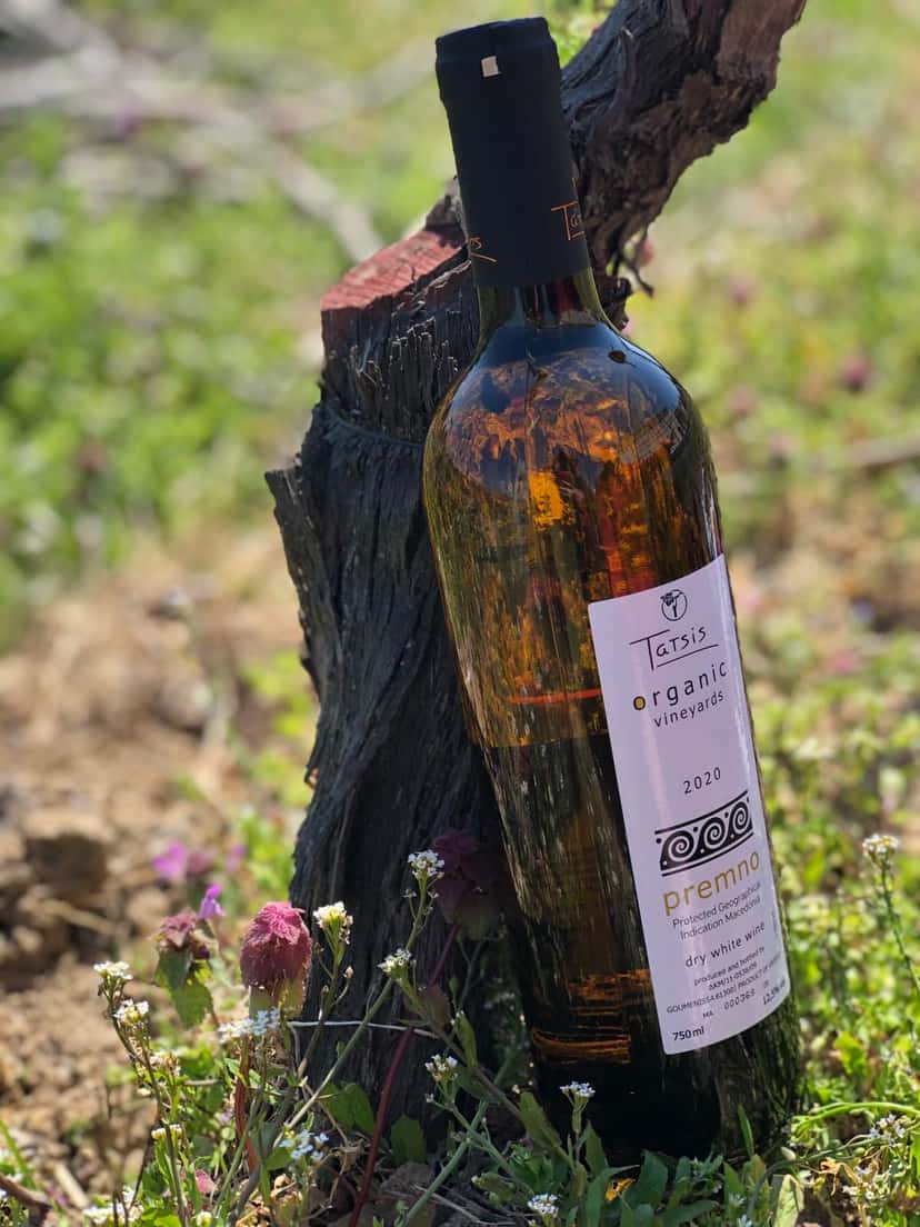 Macedonia Wine Journey: 7 Organic Tastes & Vineyard Tour