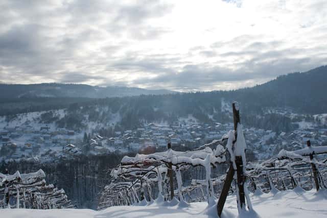 Weingut Iselin