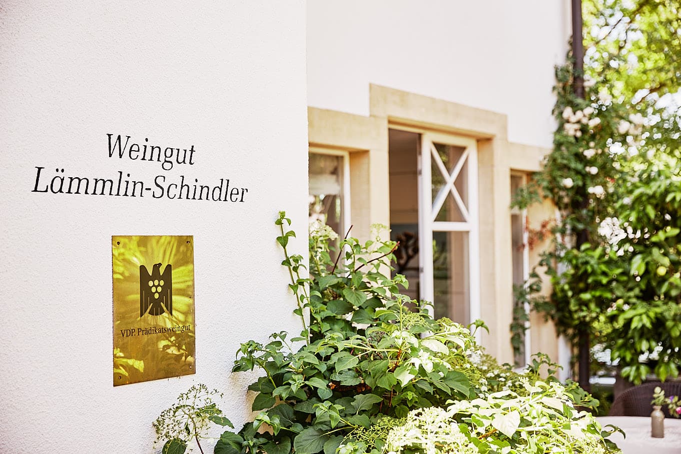 Cata de vinos y paseo por los viñedos de Weingut…