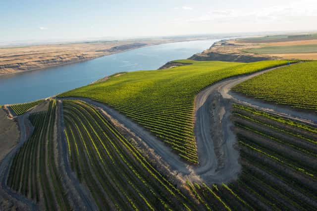 Long Shadows Vintners