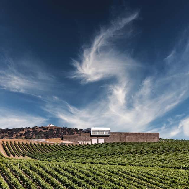 Ribafreixo Wines