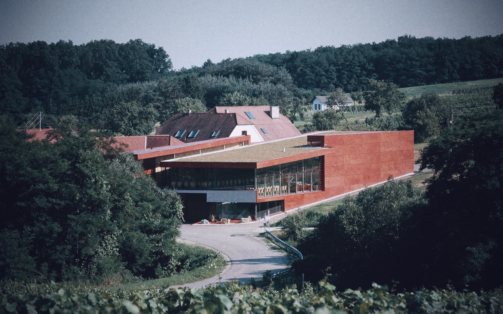 Weingut Schützenhof - Markus Faulhammer