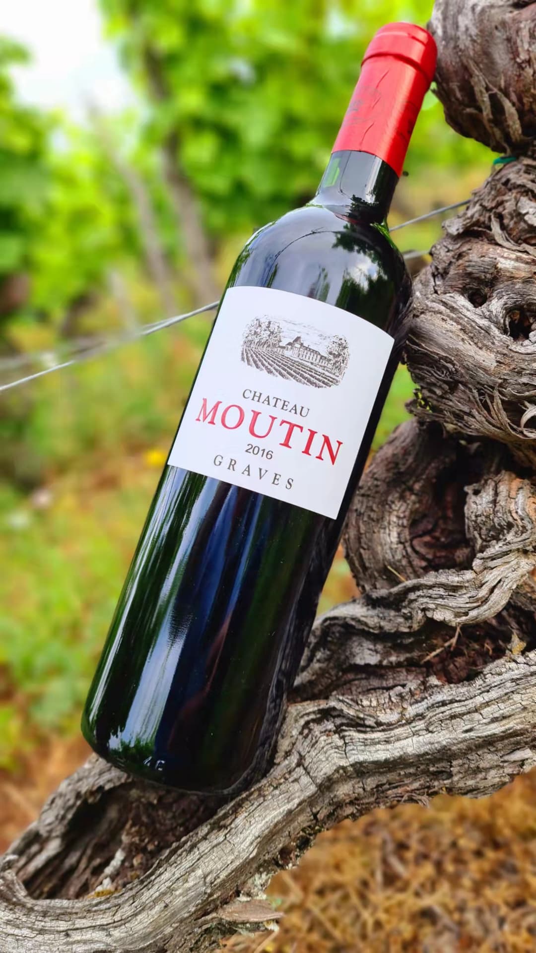 Chateau Moutin - Chateau Dauphiné-Rondillon