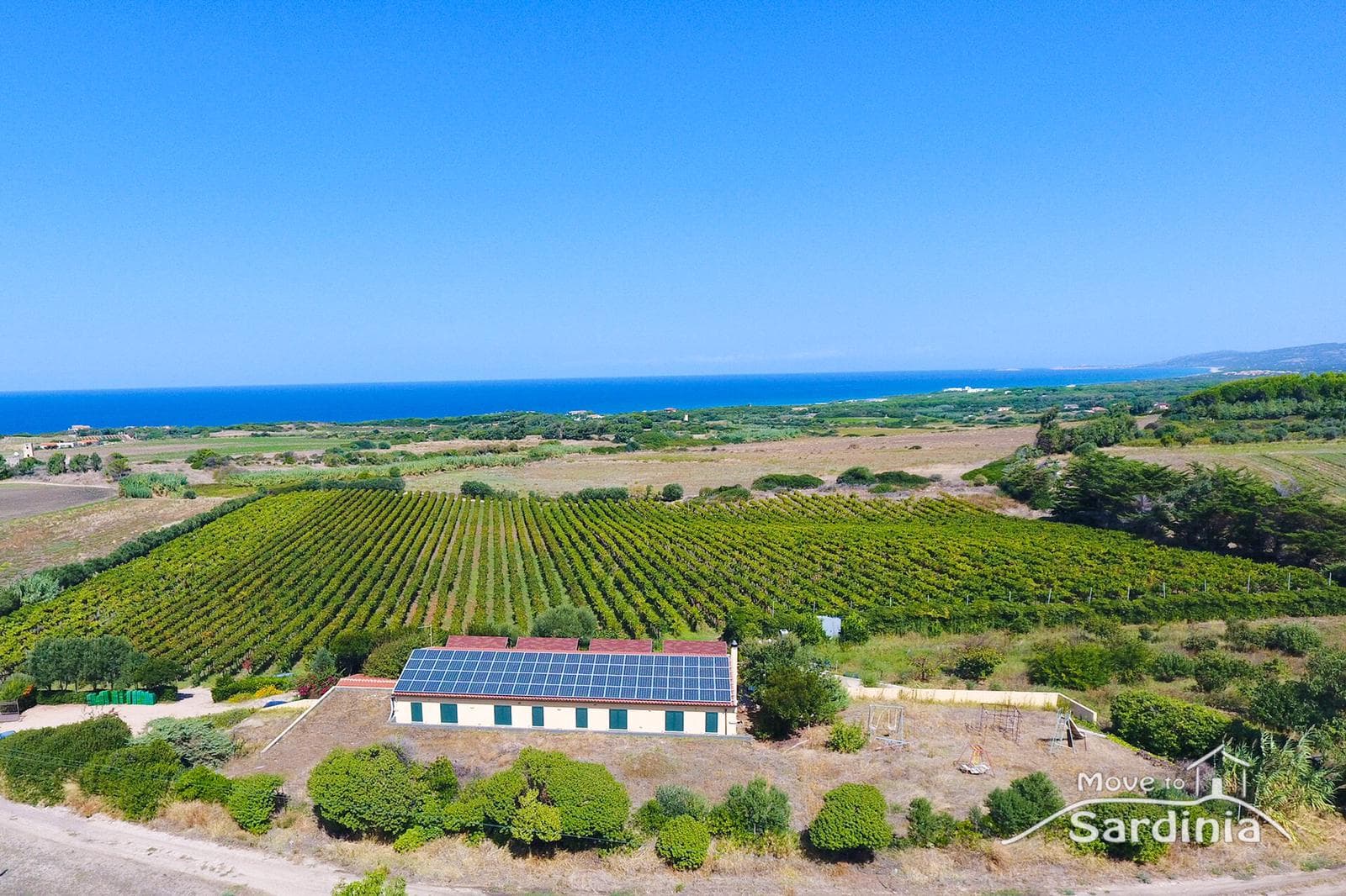 Sardinia Vineyard Walk & Wine Feast at Cantina Ligios
