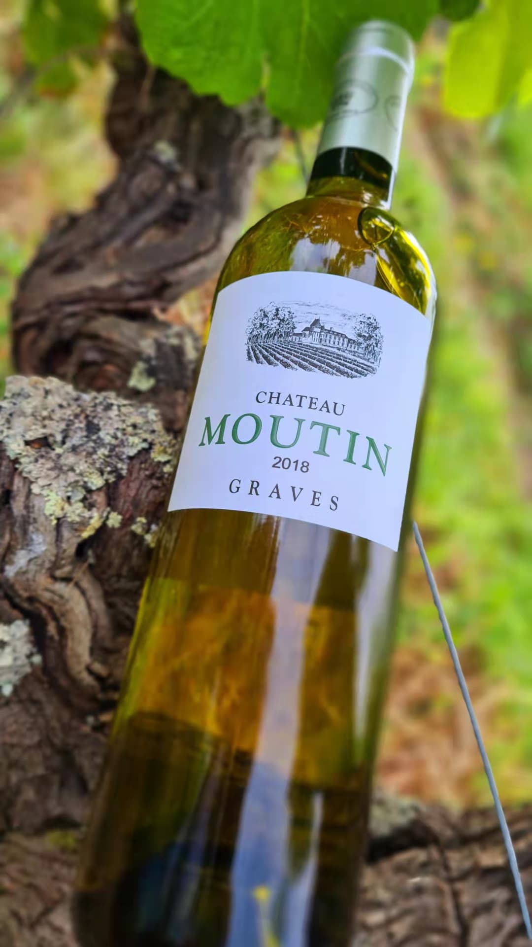 Chateau Moutin - Chateau Dauphiné-Rondillon