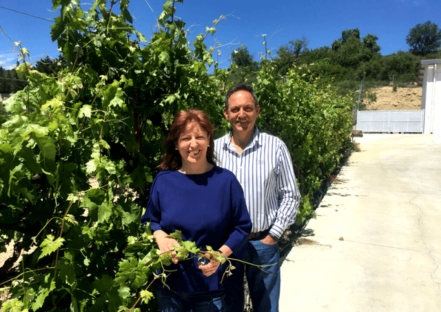 Bodegas Loli Casado